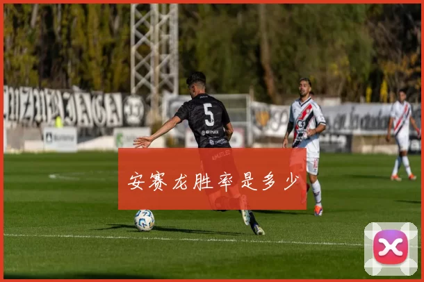 安赛龙胜率是多少