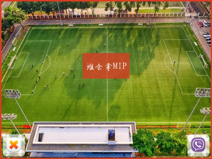 谁会拿MIP